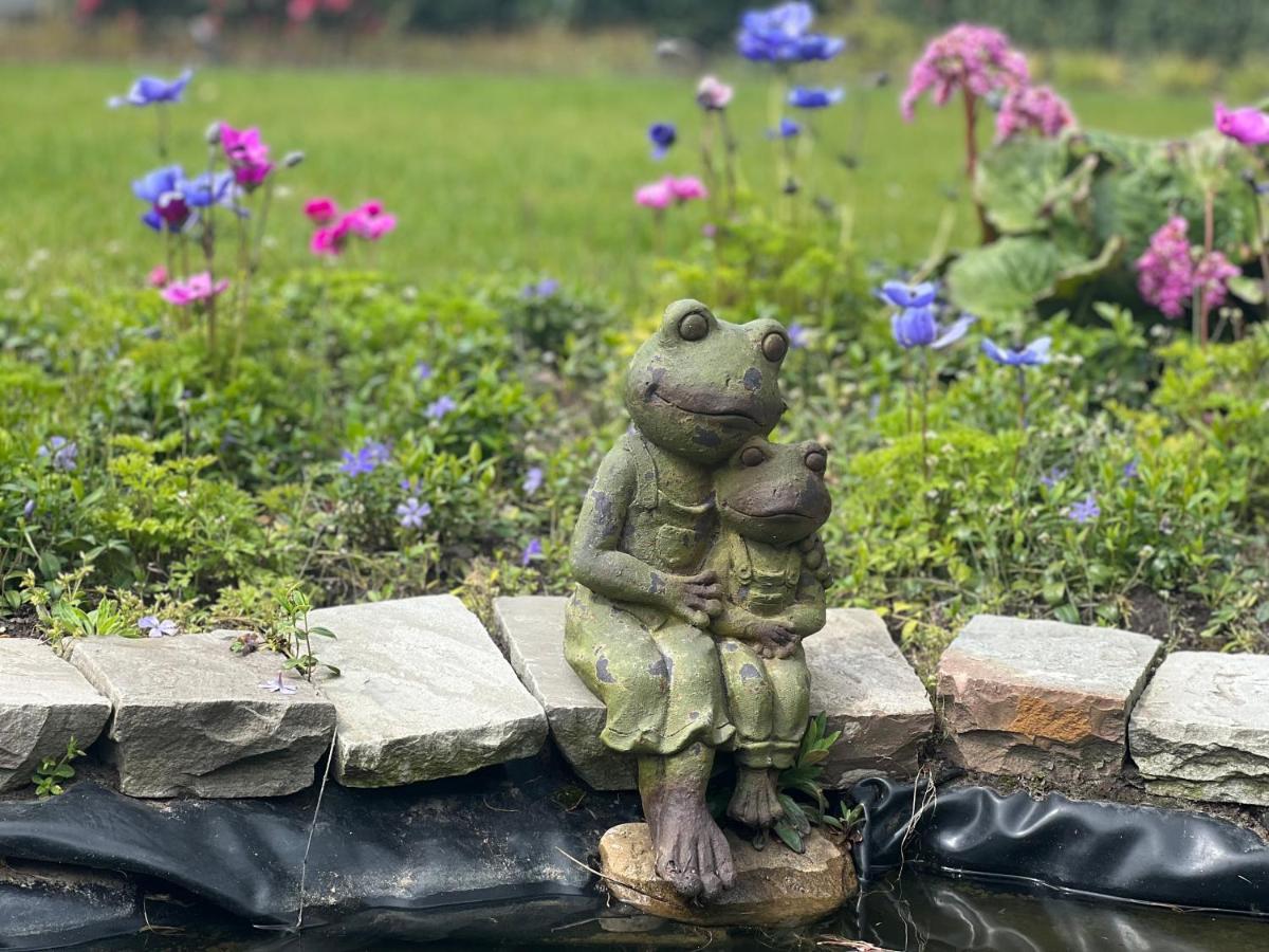Ikigai B&B - Wellness Oud-Turnhout Екстер'єр фото