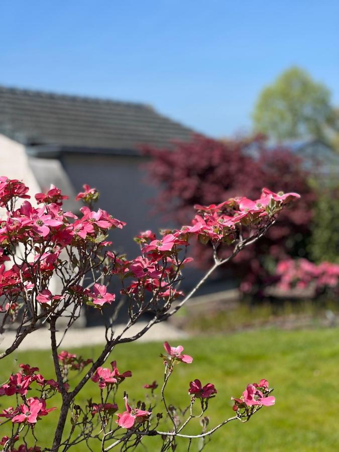 Bed and Breakfast Ikigai Oud-Turnhout Екстер'єр фото