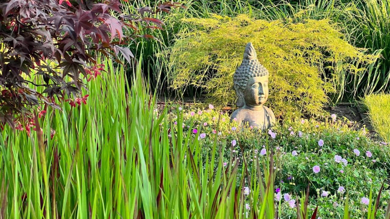 Ikigai B&B - Wellness Oud-Turnhout Екстер'єр фото