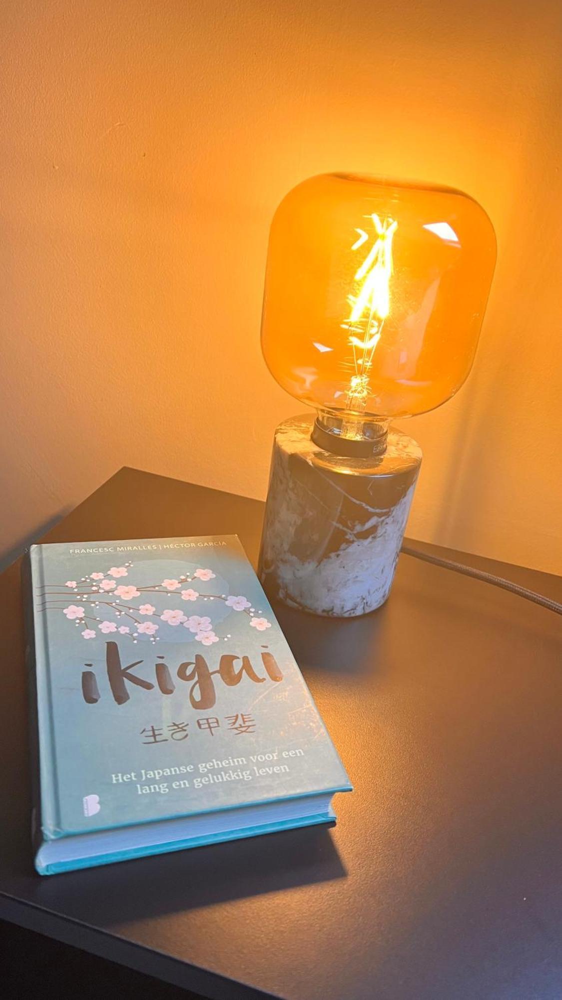 Bed and Breakfast Ikigai Oud-Turnhout Номер фото