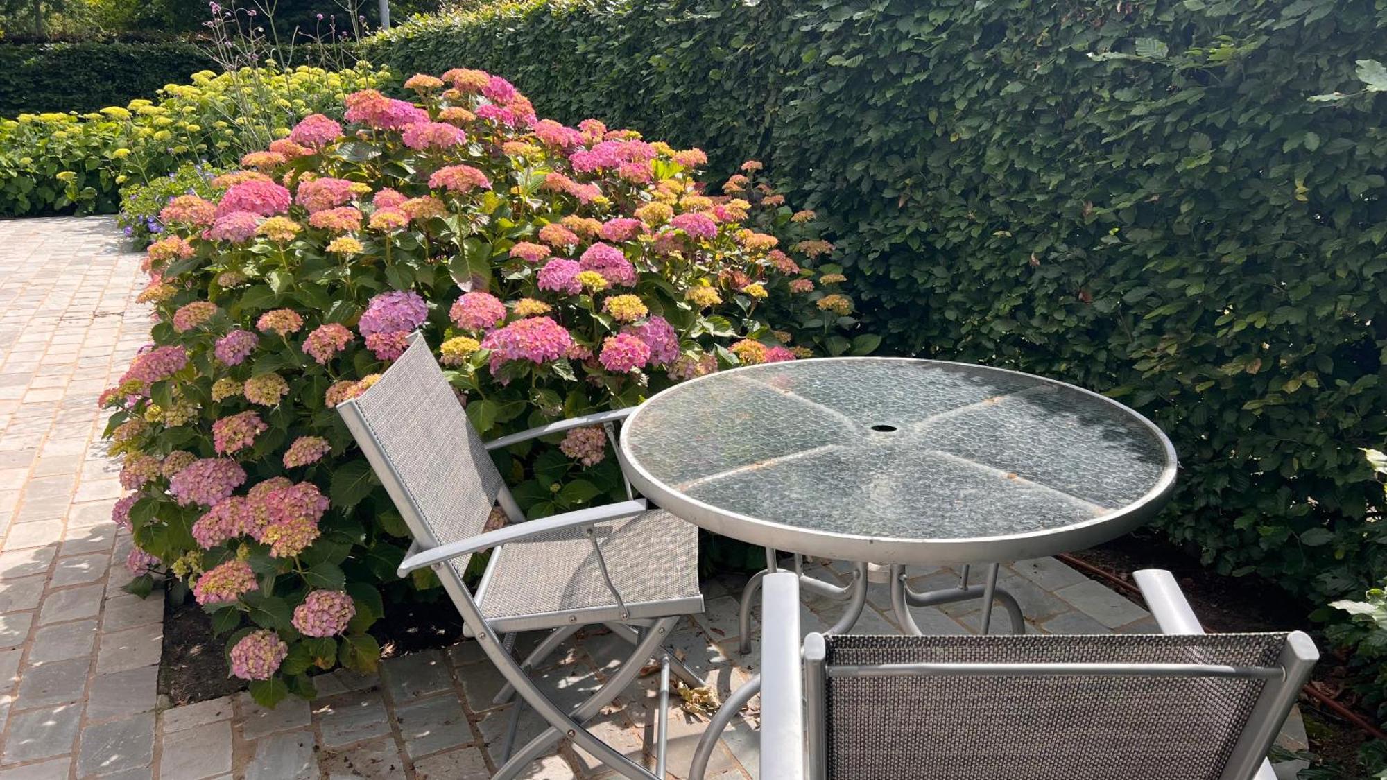 Ikigai B&B - Wellness Oud-Turnhout Екстер'єр фото