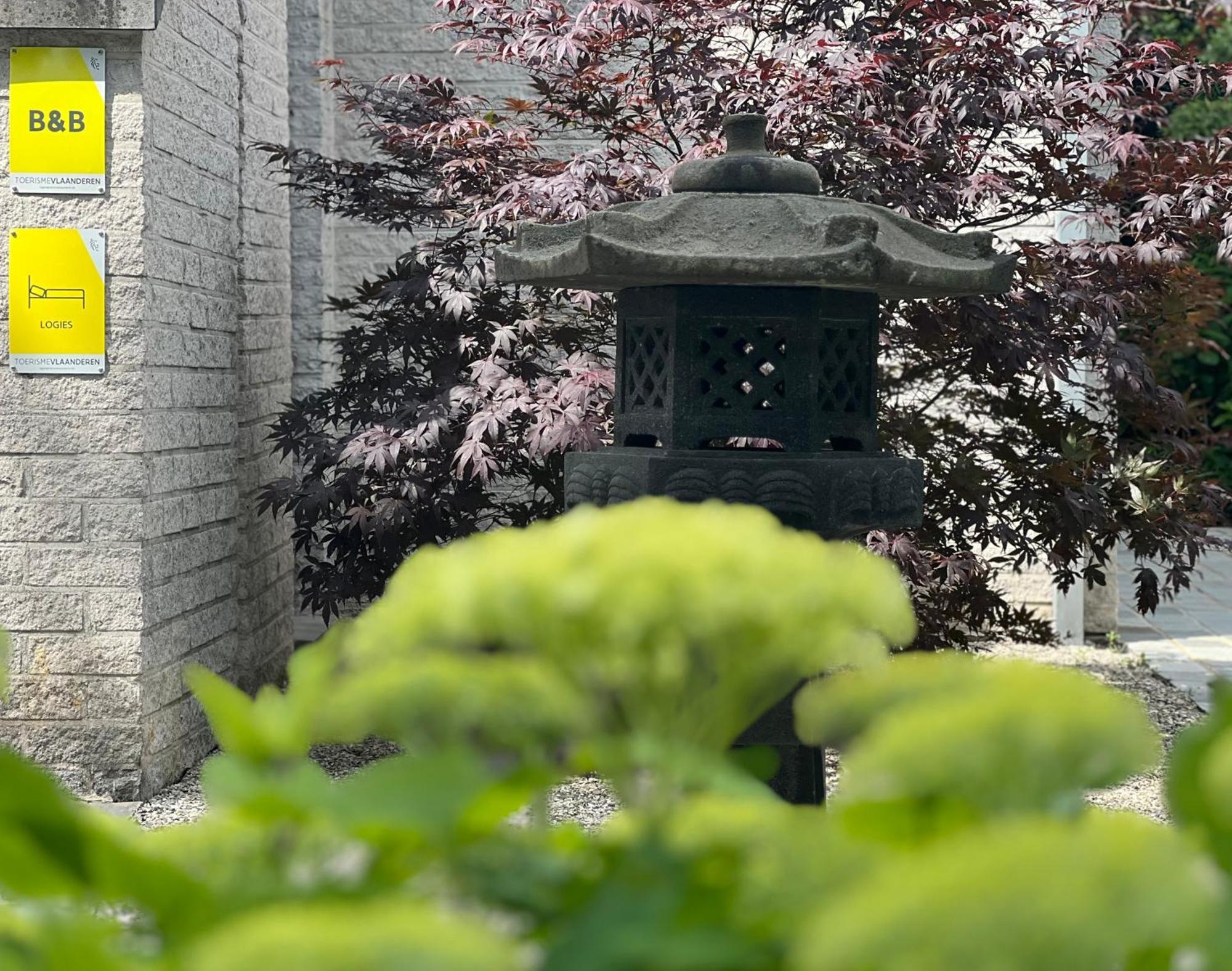 Ikigai B&B - Wellness Oud-Turnhout Екстер'єр фото