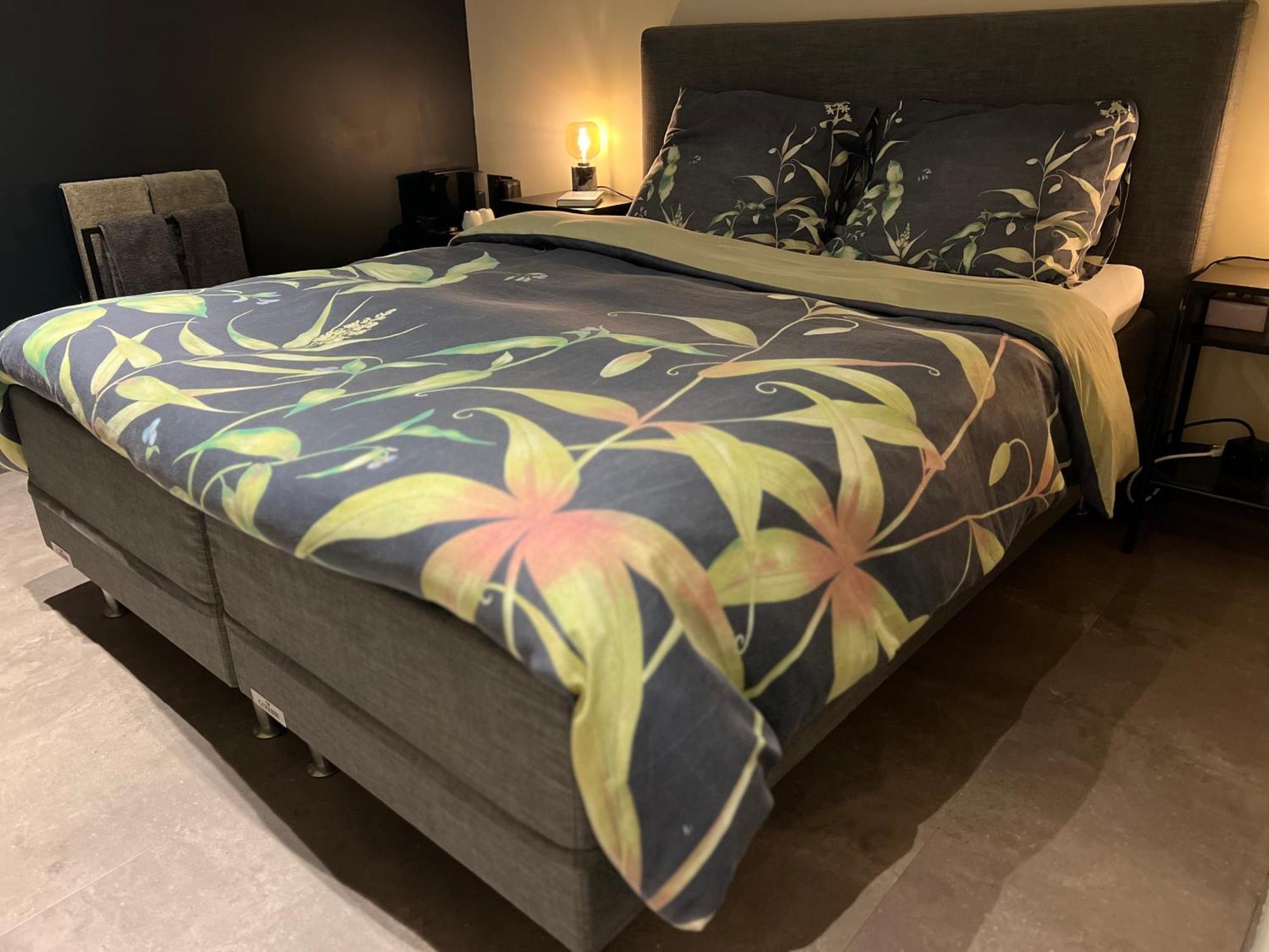 Ikigai B&B - Wellness Oud-Turnhout Екстер'єр фото